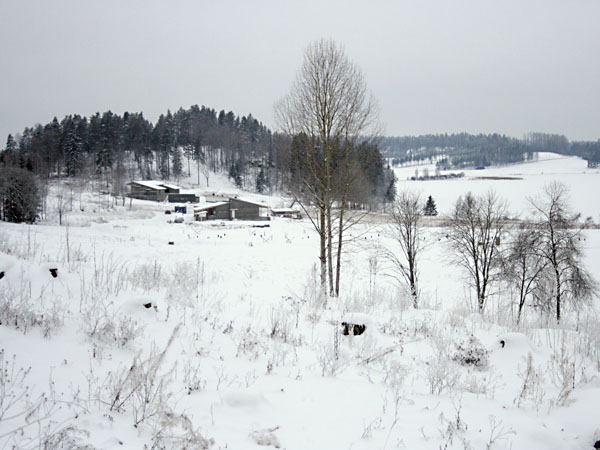 Isokyl&auml;